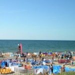 07868d56-8713-4cf9-a469-3f5d8a95ebba